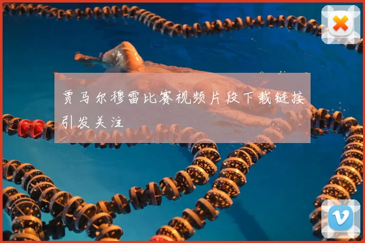 贾马尔穆雷比赛视频片段下载链接引发关注