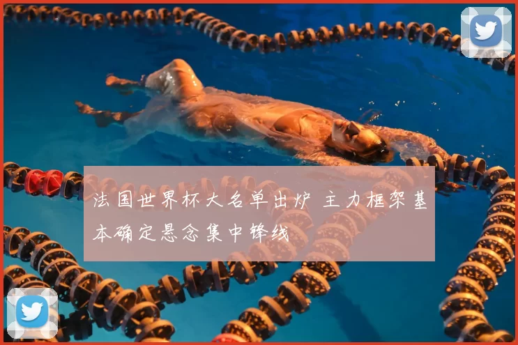 法国世界杯大名单出炉 主力框架基本确定悬念集中锋线