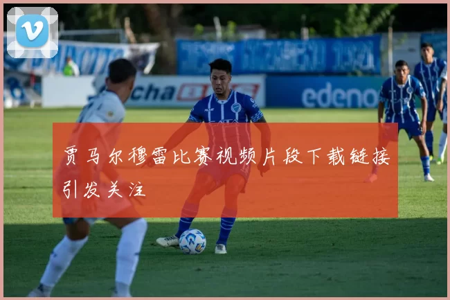 贾马尔穆雷比赛视频片段下载链接引发关注