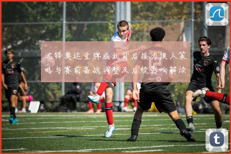 沈铎奥运金牌成就背后接力换人策略与赛前备战调整及后续影响解读