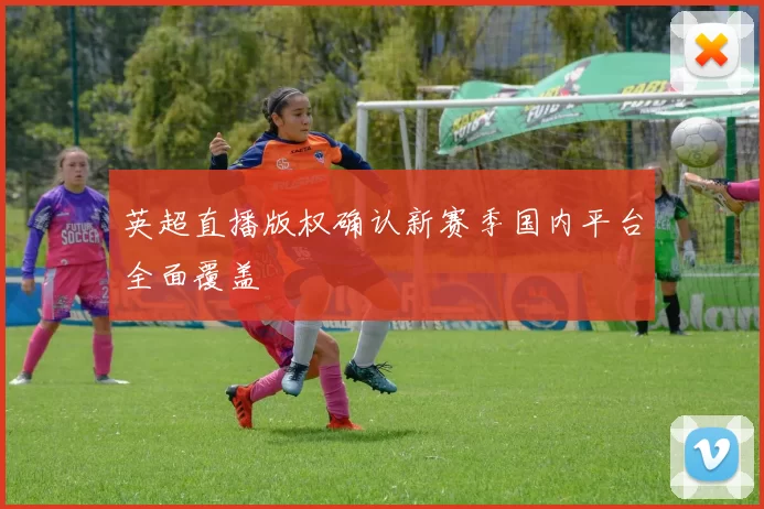 英超直播版权确认新赛季国内平台全面覆盖
