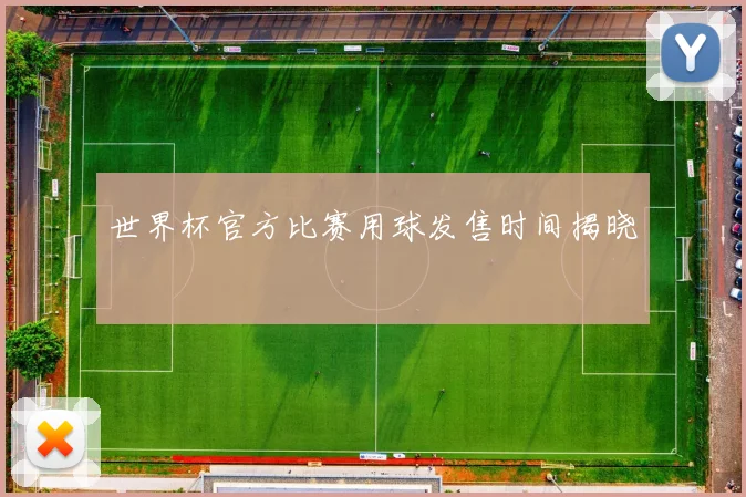 世界杯官方比赛用球发售时间揭晓
