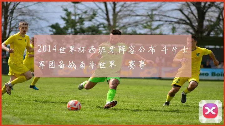 2014世界杯西班牙阵容公布 斗牛士军团备战南非世界盃赛事