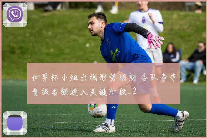世界杯小组出线形势明朗 各队争夺晋级名额进入关键阶段_2