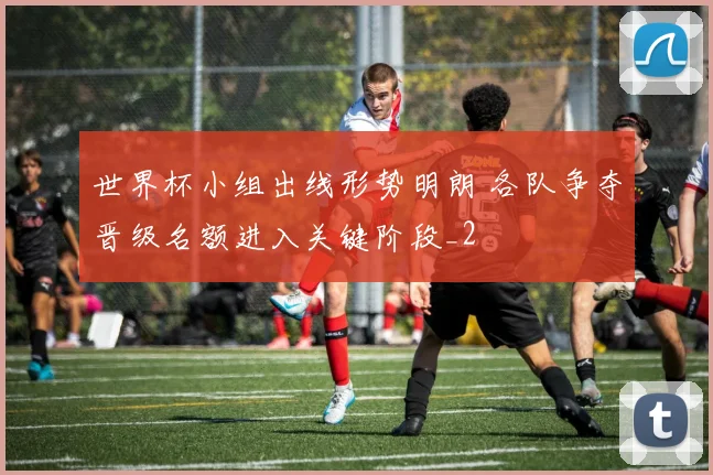 世界杯小组出线形势明朗 各队争夺晋级名额进入关键阶段_2